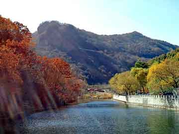 大三巴一肖二码最准，toshiba代理